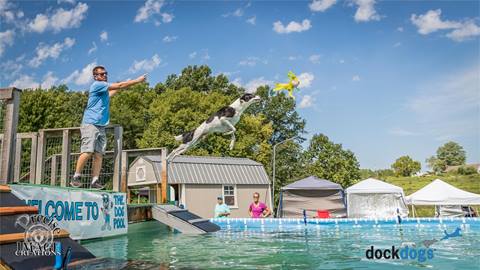 Dock Dogs