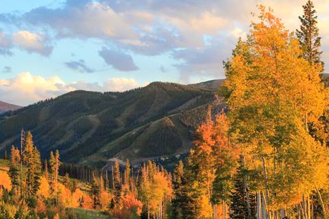 Fall foliage at winter park resort