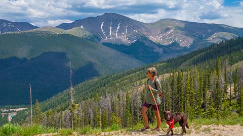 Woman walking a dog in the summer with continental divide in the background at Winter Park Resort Colorado