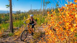 Fall Bike at Trestle