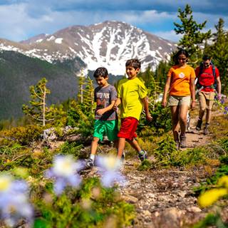 Guided Hikes and Tours