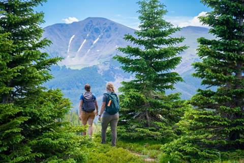 Two hikers surrounded by trees looking at the Rocky Mountains. 