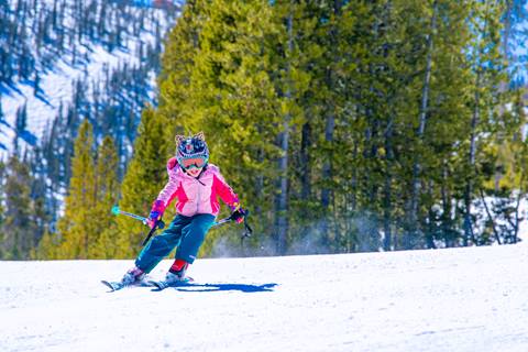 Child skiing with trees in the background